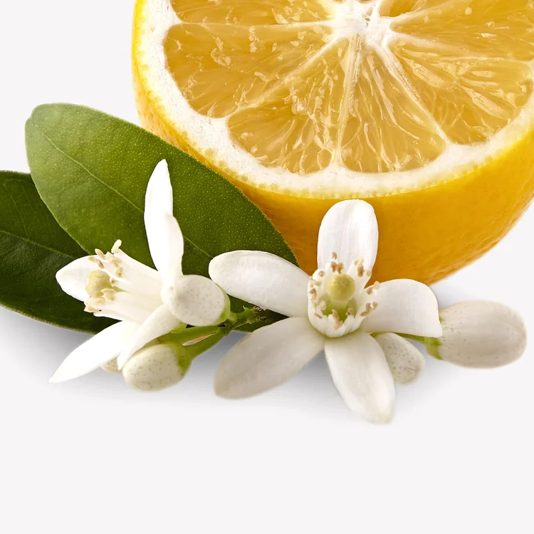 Fleurs de Mandarinier et d’Oranger