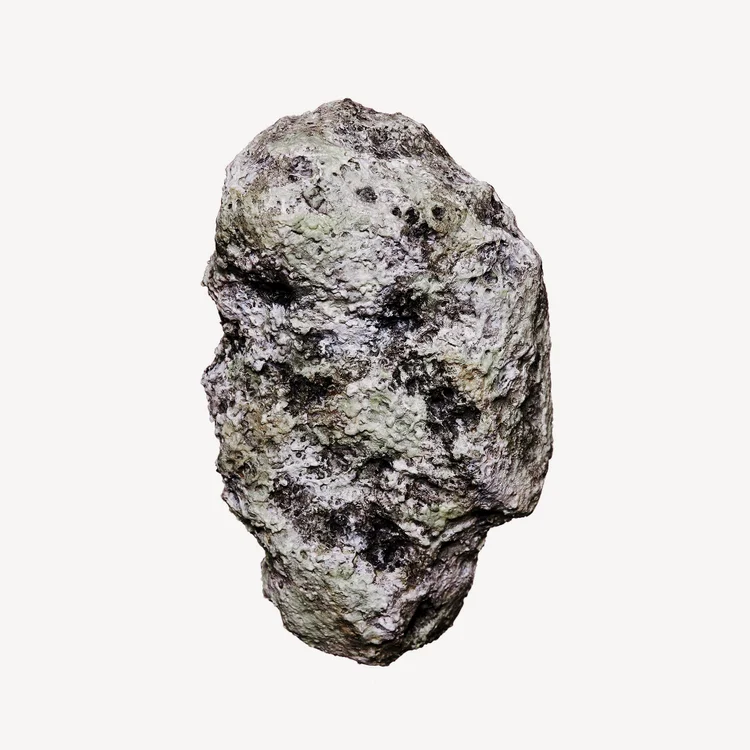 Cetalox (Ambre Gris)