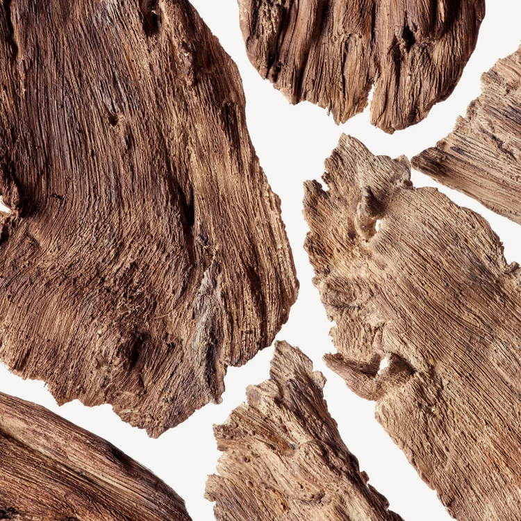 Georgywood (Note Cèdre)