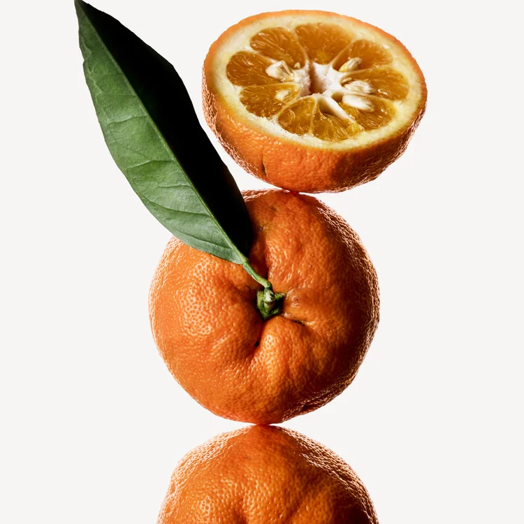 Orange Amère